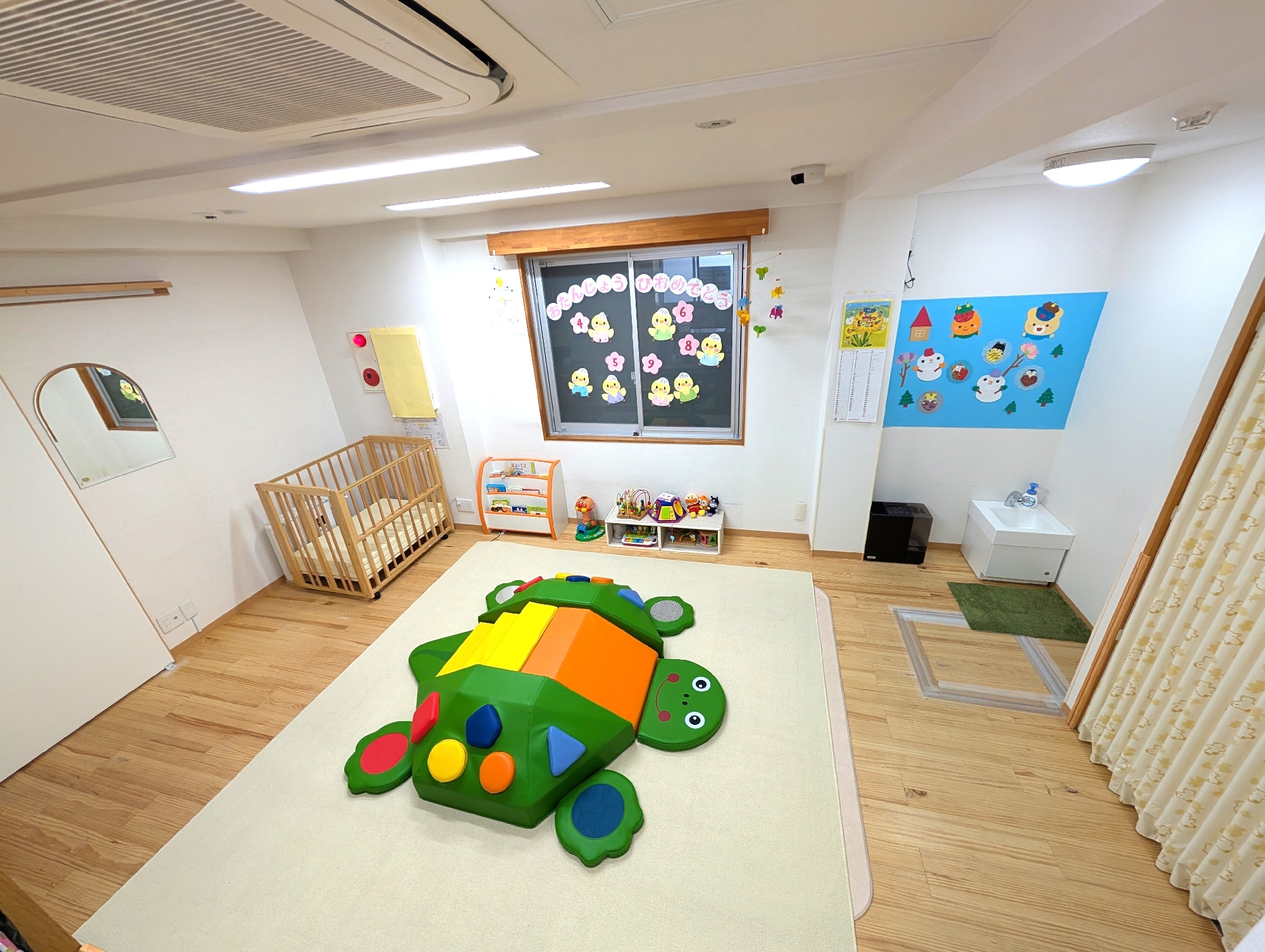 カメさんがやってきました！