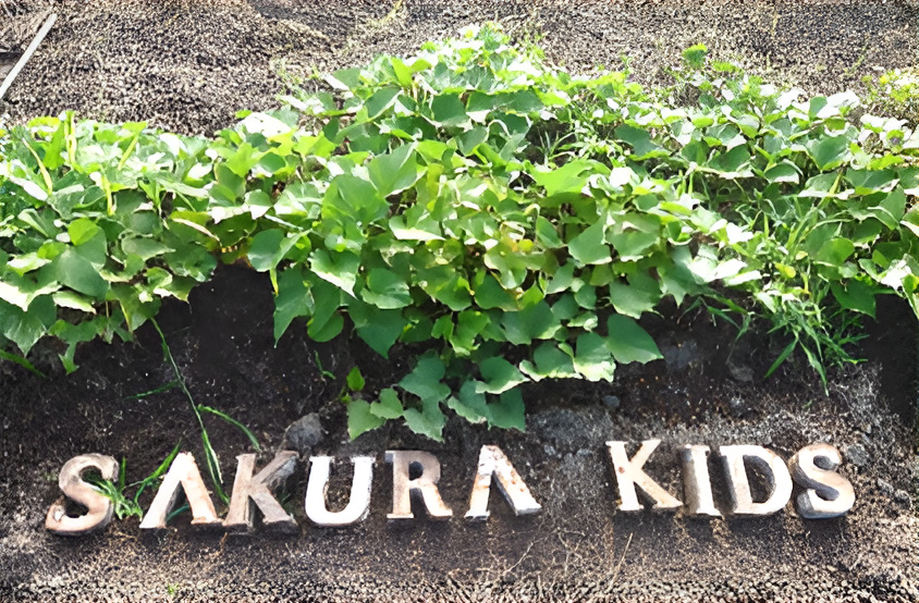 6. 自然に囲まれた契約農園での野菜栽培